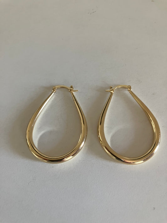 Earrings G102