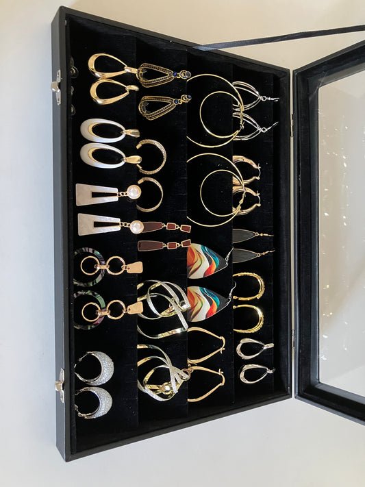 Display case and earrings D103